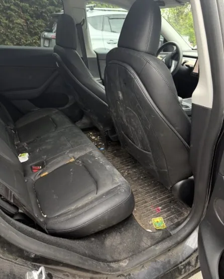 Before deep clean on Tesla