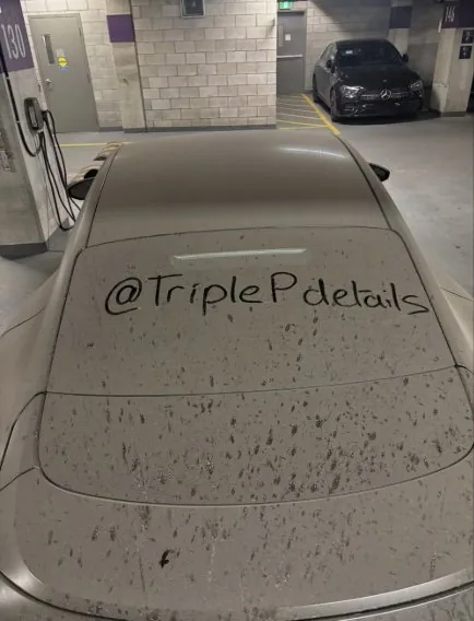 Before paint protection on Audi GT