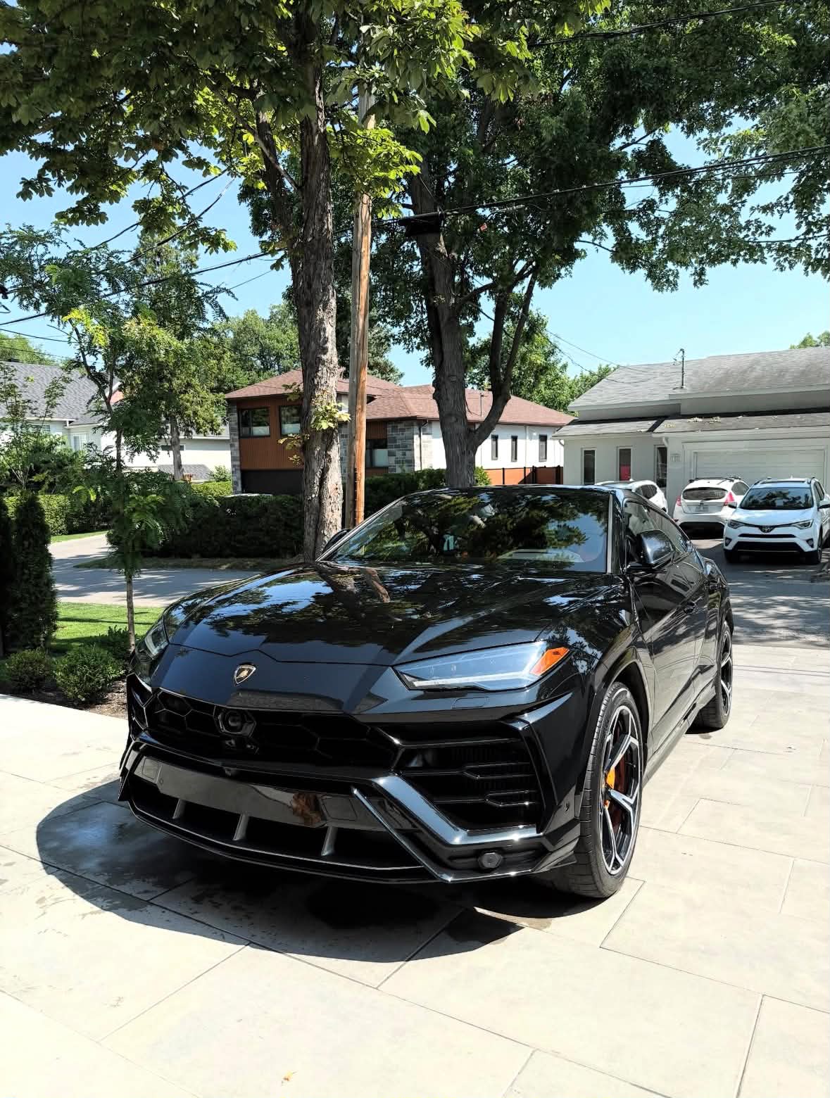 Urus